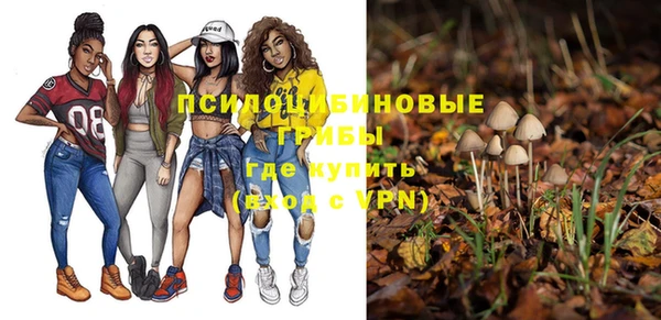 прущие грибы Абинск