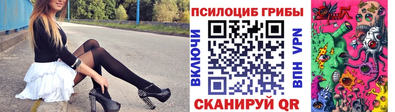 Псилоцибиновые грибы MAGIC MUSHROOMS  ОМГ ОМГ ТОР  Железногорск-Илимский  закладки 
